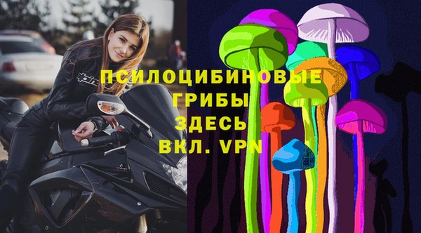 ECSTASY Алзамай