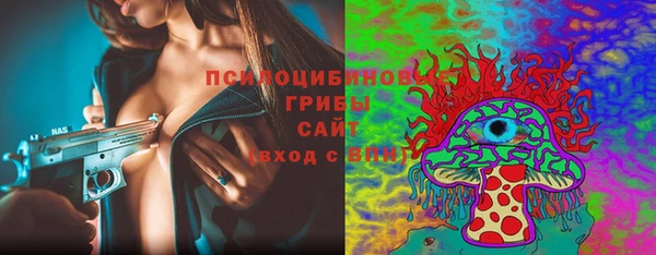 кокс Алексин