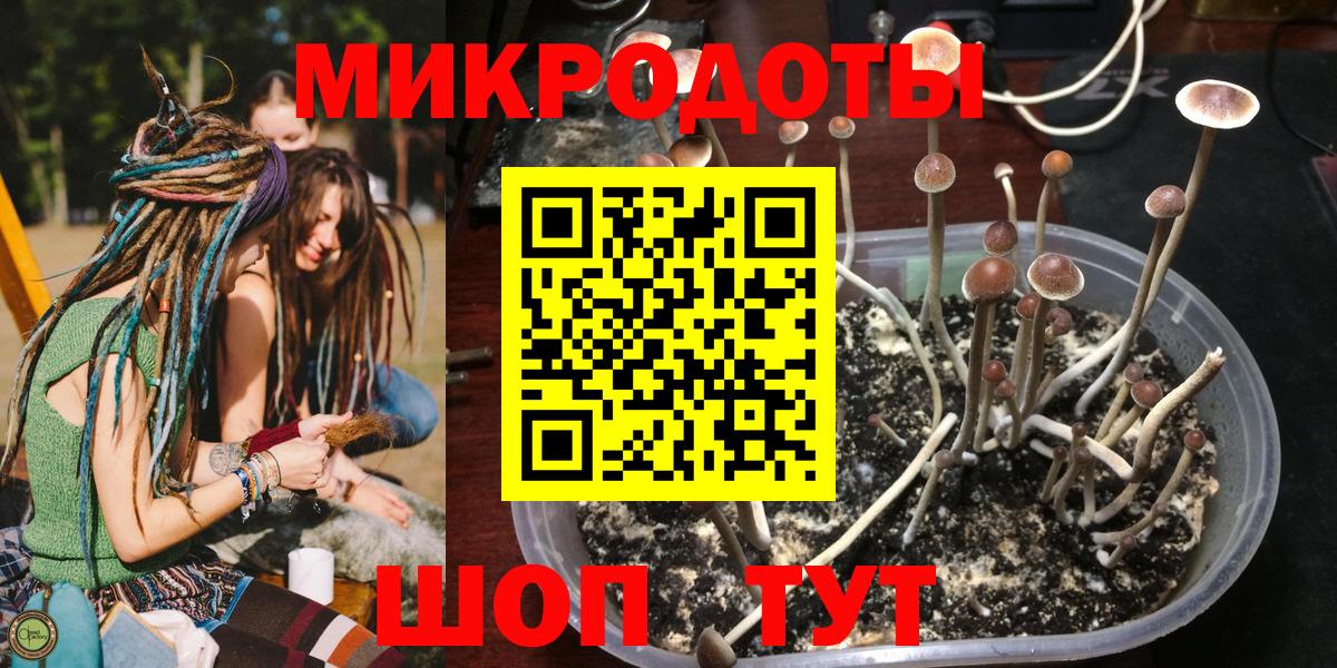 Псилоцибиновые грибы MAGIC MUSHROOMS Красноперекопск